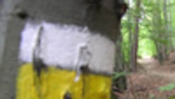 Cesta a značky v Lesoparku sú už obnovené