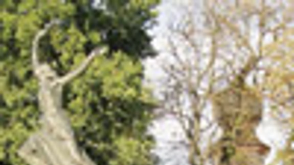 Chrám Notre Dame doteraz nepostavili