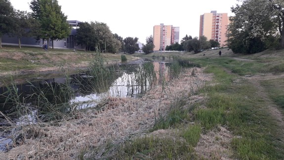 Hľadá sa zhotoviteľ osvetlenia pri Chorvátskom ramene