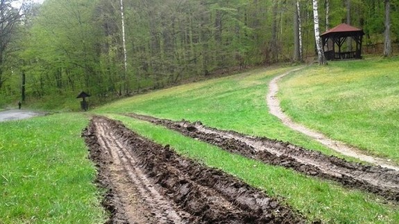 Medzi Modrou a Šenkvicami sa bude cez víkend verejne sadiť les
