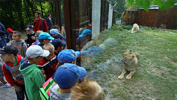 Prváci z Nového Mesta vymenili  školské lavice za ZOO