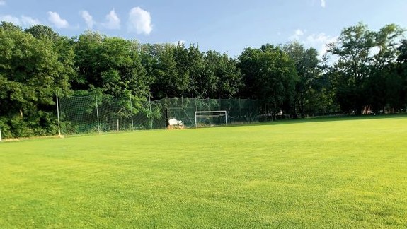 Patrí športová hala do školského areálu? Patrí!