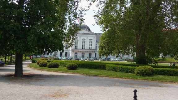 V záhrade Prezidentského paláca vysadia unikátne vyšľachtené tulipány
