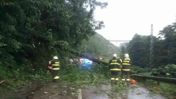 Rýchlik smerujúci do Bratislavy narazil do spadnutého stromu