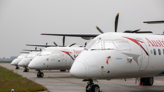 Na letisku platí výstraha, počas leta pribudli strety lietadiel s vtákmi