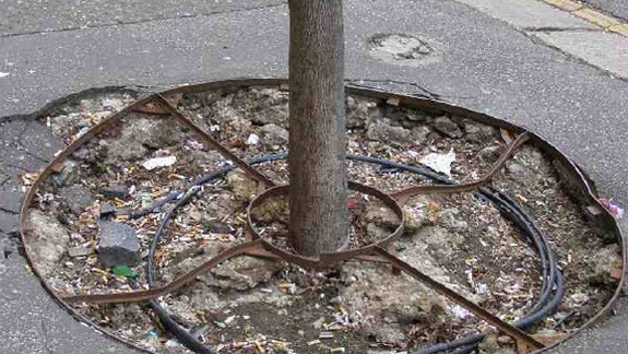 Ktosi ukradol 44 železných roštov okolo stromov