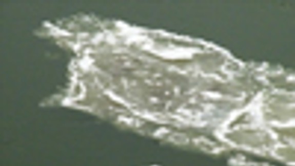 Teplota vody v Dunaji sa blíži k bodu mrazu