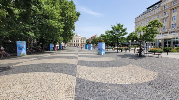 Viac tieňa, zavlažovací systém i zmeny pod povrchom: Hviezdoslavovo námestie čaká premena