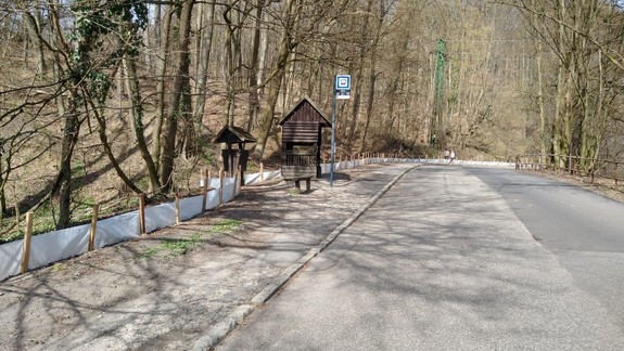 Mestské lesy ukončili údržbu stromov na Železnej studničke