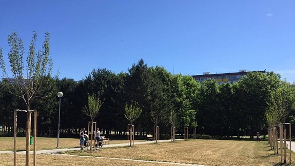 FOTO: Na street workoutovom ihrisku Jama v Petržalke sa už pracuje