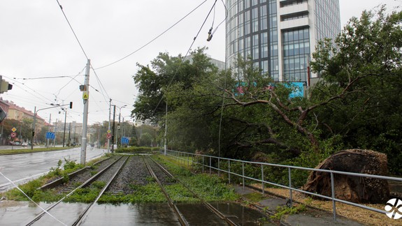 Premávku električiek a autobusov čiastočne obnovili