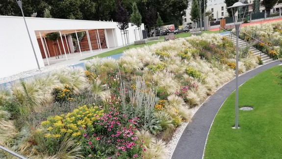 FOTO Naozaj nádhera. Pozrite si, ako aktuálne vyzerá park Jama