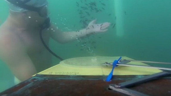 Žabí muži na Veľkom Draždiaku: V Petržalke prebiehajú majstrovstvá Európy v orientačnom potápaní