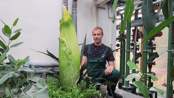 V Botanickej záhrade očakávajú výnimočný okamih! Vôbec prvýkrát na Slovensku zakvitne táto vzácna rastlina
