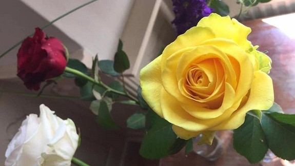 V záhrade Prezidentského paláca vysadia ruže z Bulharska, ktoré venovala ich ambasáda