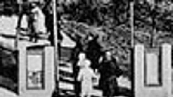 Naše malé dobrodružstvá na predmestí