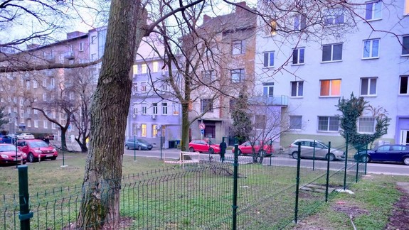 Výbehy pre psov: Kde všade ich nájdete a kde ešte pribudnú?