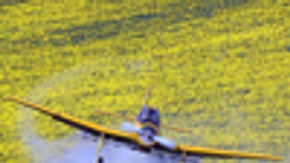 Magistrát zrejme hrozba kalamity komárov netrápi