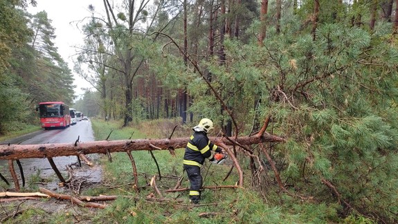 Mimoriadna situácia pokračuje! Vietor počas noci zosilnie: Hrozí zvýšené riziko padania stromov