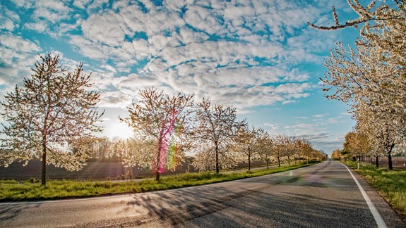 Jarné oteplenie môže byť zradné. Na čo si dávať na cestách pozor?