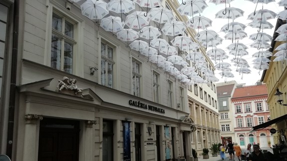 Nedbalova ulica bude od soboty opäť premenovaná na Dáždnikovú: Prejsť sa ňou môžete počas celého leta