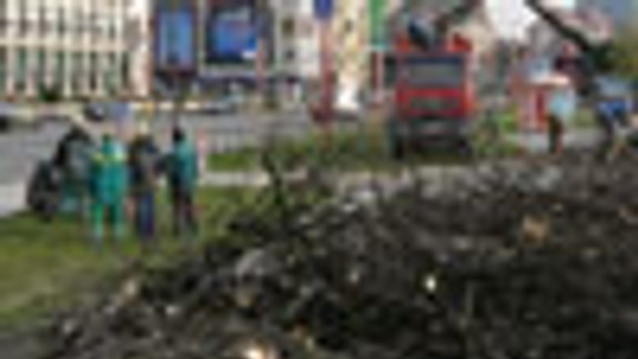 Z nábrežia tento rok zmizlo 32 stromov