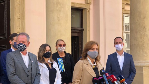 Starostka Čahojová: Hrozí kolaps experimentu celoplošného testovania