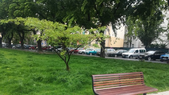 V Starom Meste bude Park G. Barossa i Podchod študentov 16. novembra