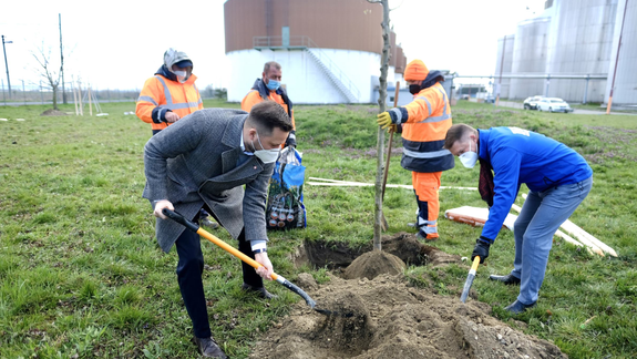 Pri čistiarni odpadových vôd vo Vrakuni vysadili ďalších 13 stromov