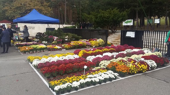 Čím sa líšia? V piatok si pripomíname Sviatok všetkých svätých, na sobotu pripadá Pamiatka zosnulých,