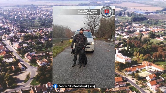 Policajný pes doviedol hliadku až k mužovi, ktorý sa po neúspešnej krádeži ukrýval v lese