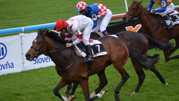 Víťazom Ceny Bratislavských novín Rousseau