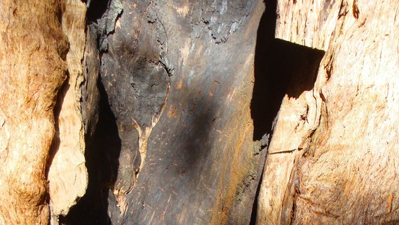 Zmena posúva náš život dopredu. Je potrebná, aj vzrušujúca. Prečo sa jej teda bojíme?