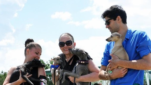 FOTO: Hľadaný psík Davidko sa našiel a už je v rukách šťastnej majiteľky!