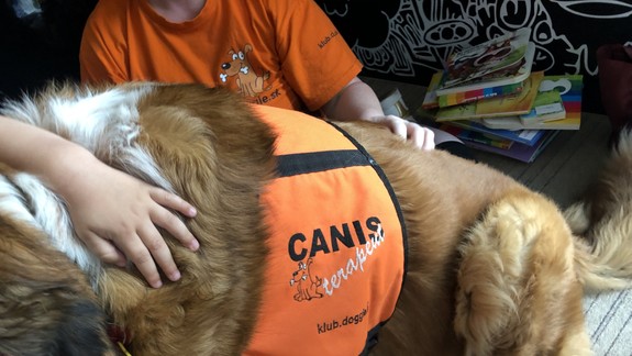 Zvieratá môžu pomôcť nášmu telesnému aj duševnému zdraviu, tvrdí odborník