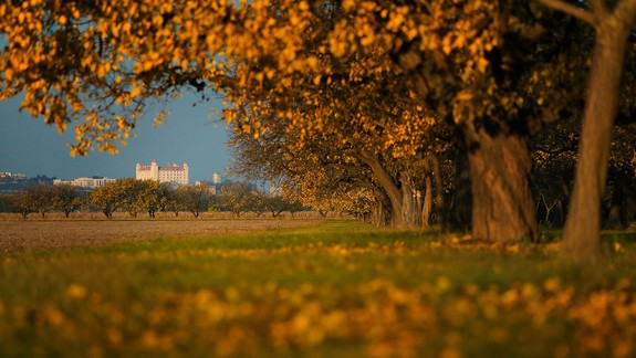5 tipov, ako si užiť jeseň v Bratislave