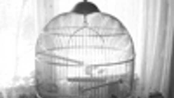 Do školy mi prišiel pomôcť aj Piťo v klietke