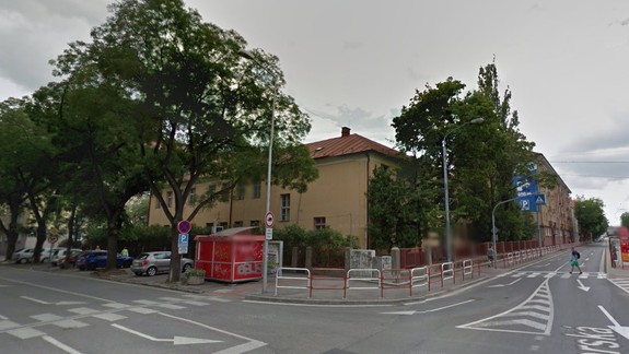 Zaujímavý nápad: Novým stromom v Novom Meste majú uľahčiť život aj pôdne koše