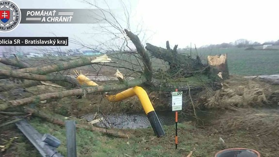 Vietor už pácha škody, na ceste z Malaciek do Veľkých Levár spadol strom na plynové potrubie