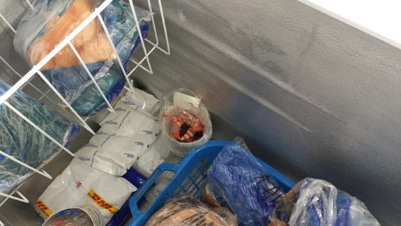 Pokazené mäso, hnilé zemiaky, plesnivé priestory a pečivo skladované v špine – je to realita aj bratislavských obchodov?