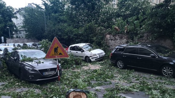 FOTO Vyčíňanie vetra v centre mesta: Strom spadol a poškodil viaceré autá