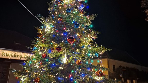 Ochranári radia: Aké je najvhodnejšie vianočné osvetlenie?