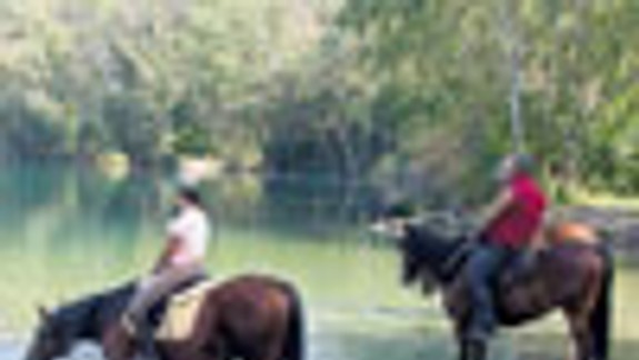 Kone chodia piť vodu, ľudí to vraj nijako neohrozuje