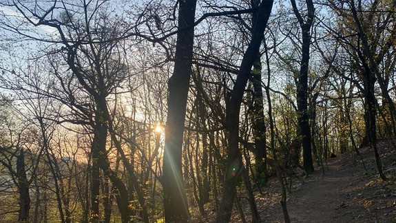 Hasiči zachraňovali zranenú ženu v lese v blízkosti Devínskej Kobyly, zasahoval aj vrtuľník