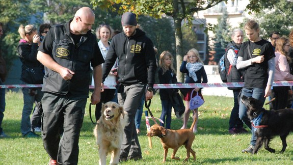 Dúbravčania, máte doma psa? Prihláste sa na podujatie mestskej časti a vyhrajte