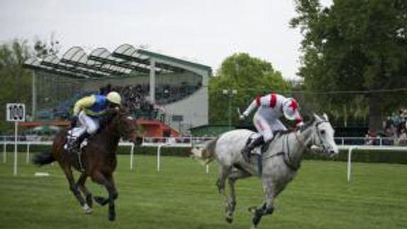 Trojročný hnedák Opium Bullet zvíťazil v Starom háji