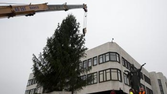 Stromček už stojí aj pred národnou radou