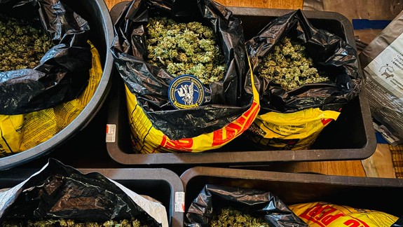 Policajná razia: V Pezinku spustili veľkú protidrogovú akciu