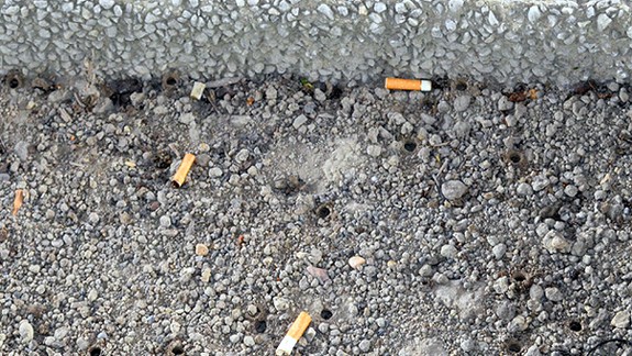 V kvetináčoch pod mostom sú včely, zoológovia radia ich tam nechať