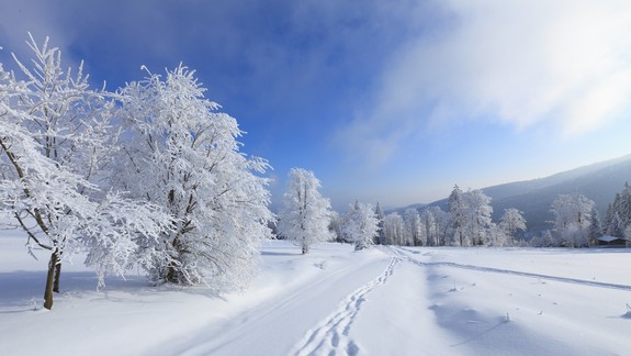 Čo potrebujete vedieť pred kúpou alebo požičaním lyží